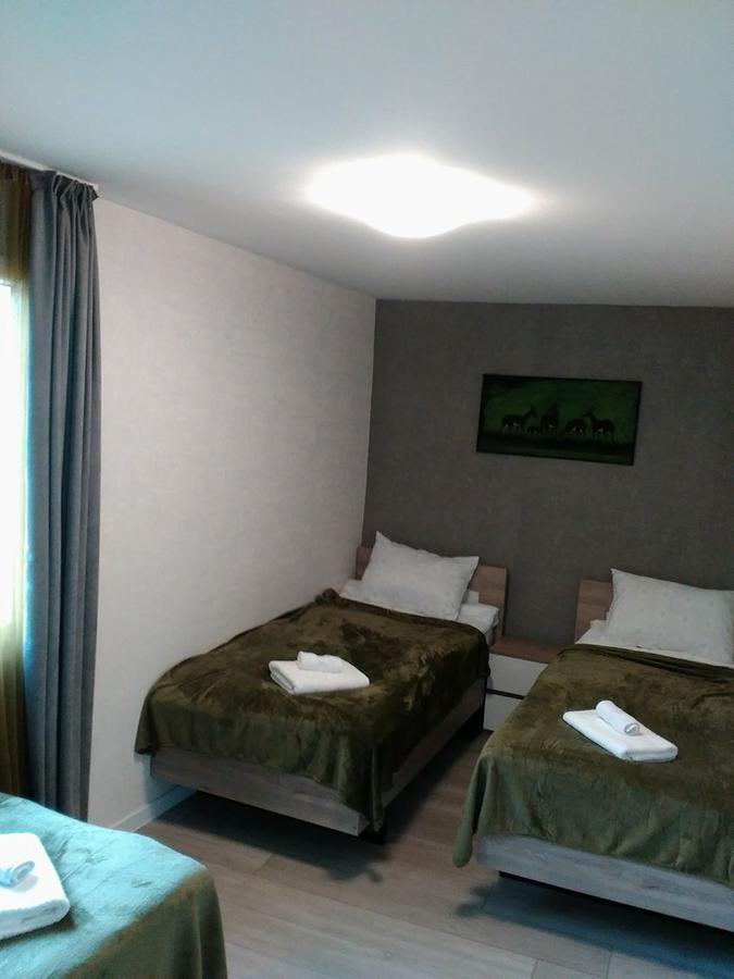 Boutique Apartment 17 Tbilisi Esterno foto